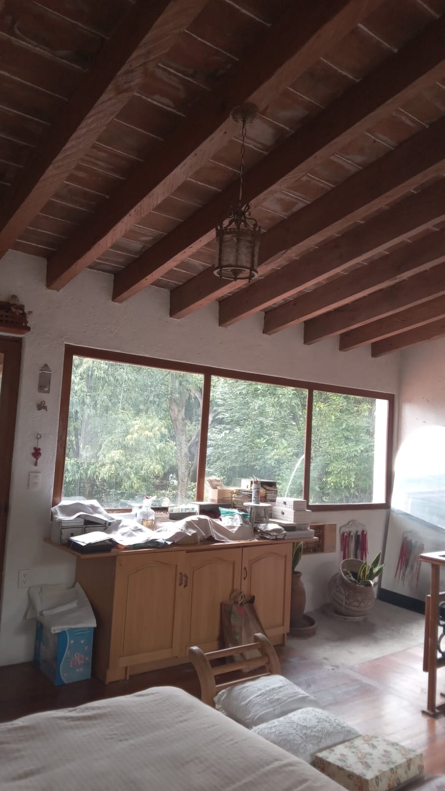 e5236717-aa18-45ff-a268-b0f1328872e7.jpeg
