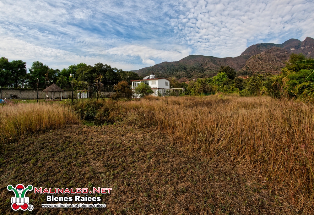 NIK_4025_PPlotzin (Copiar).jpg