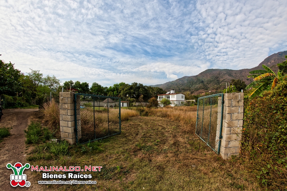 NIK_4026_PPlotzin (Copiar).jpg