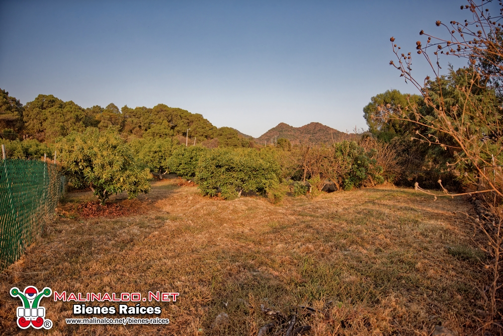 NIK_5248_PPlotzin (Copiar).jpg