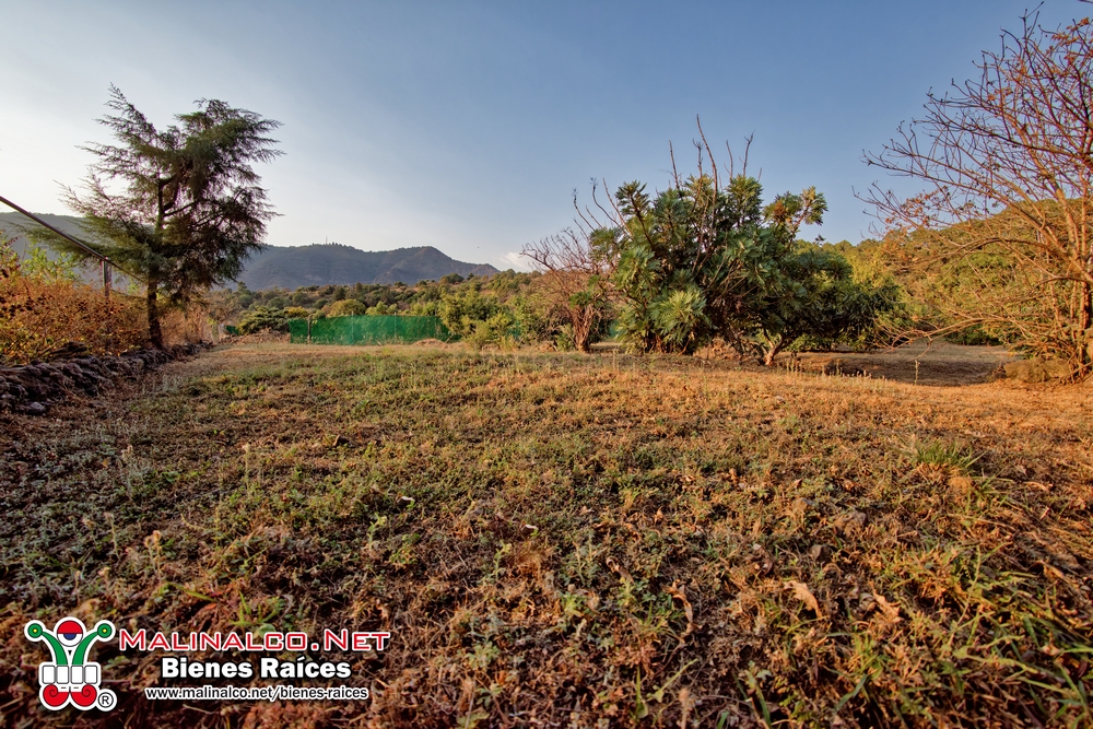 NIK_5250_PPlotzin (Copiar).jpg