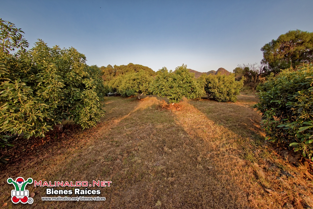 NIK_5252_PPlotzin (Copiar).jpg