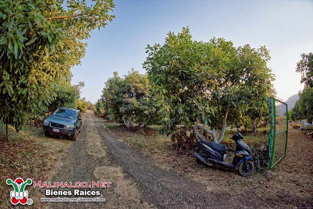 NIK_5253_PPlotzin (Copiar).jpg